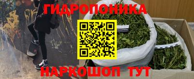 сатива Заводоуковск