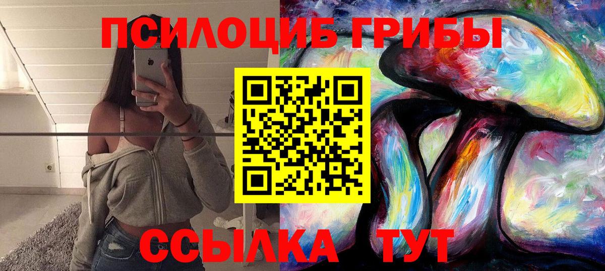 Галлюциногенные грибы Psilocybe  Галлюциногенные грибы прущие грибы  Нефтеюганск  Вход с VPN 