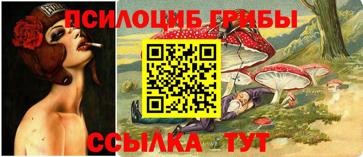 Псилоцибиновые грибы мицелий Нефтеюганск